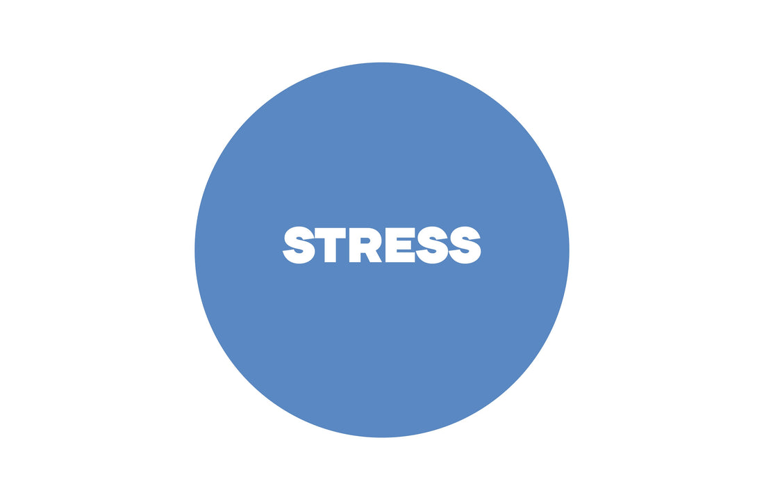 Círculo azul con la palabra stress